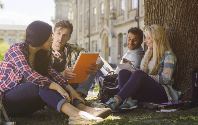 Western Sydney Việt Nam