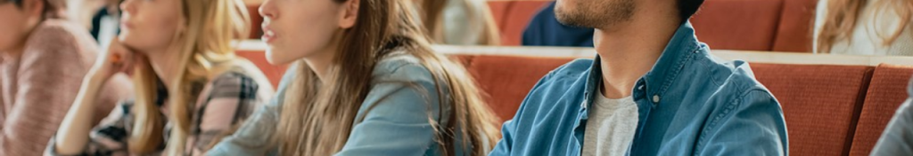 Western Sydney Việt Nam