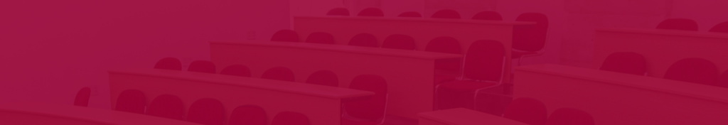 Western Sydney Việt Nam