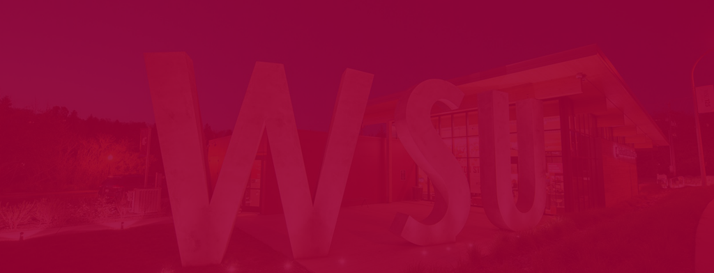 Western Sydney Việt Nam