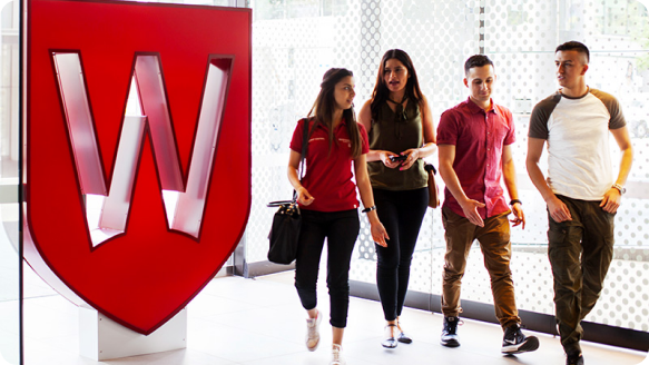 Western Sydney Việt Nam