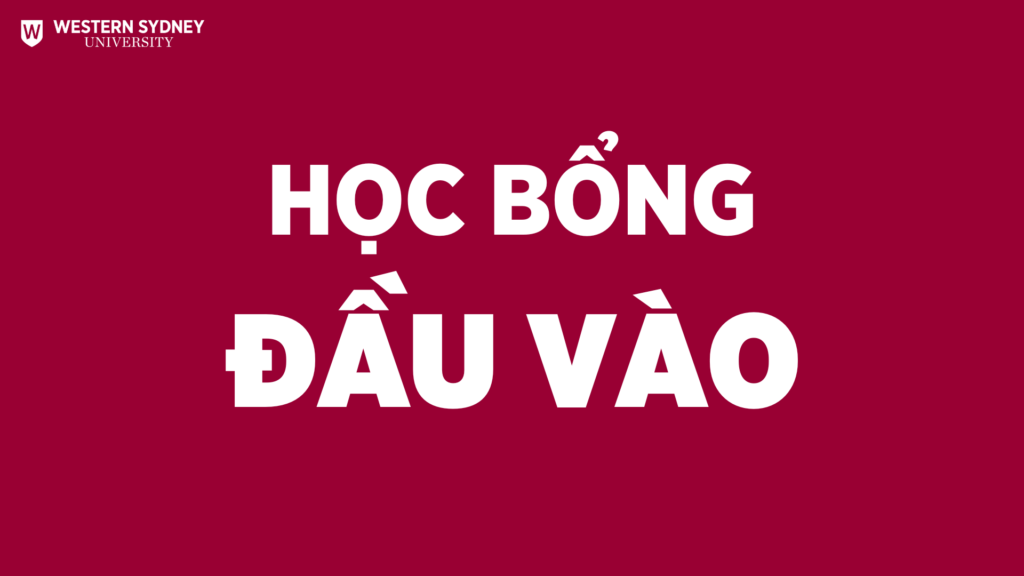 Học bổng đầu vào