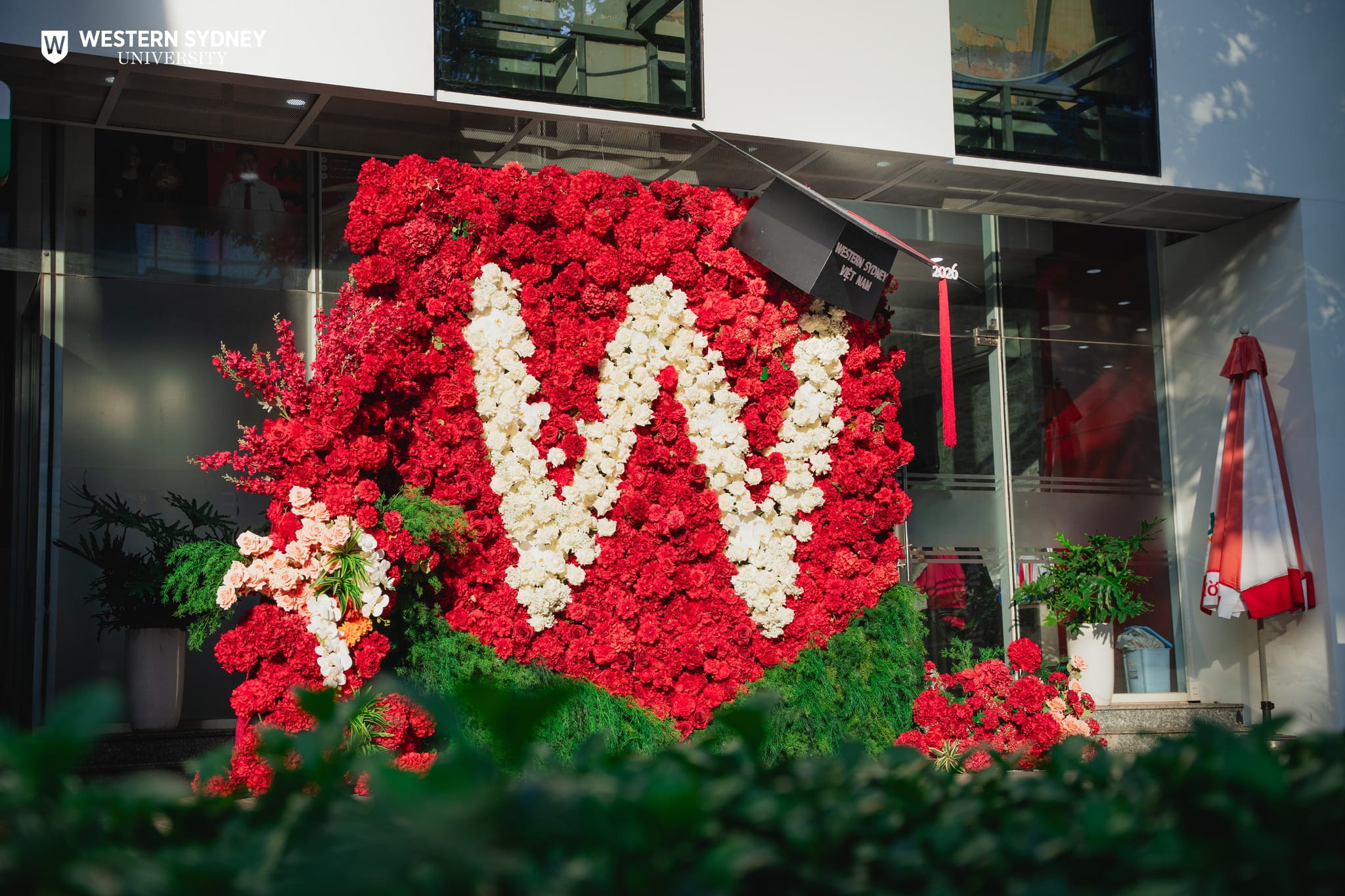 Cổng hoa tốt nghiệp tại Western Sydney Việt Nam
