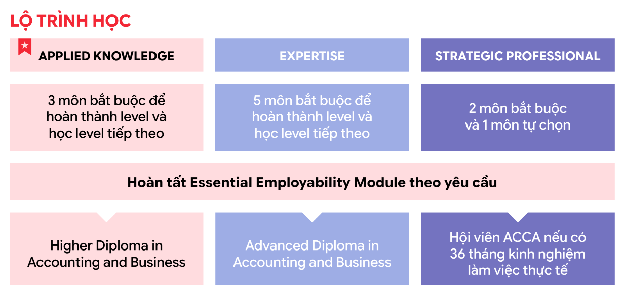 3 cấp độ trong lộ trình ACCA